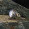 925 Sterling Silver Men's Ring with Moonstone Stone
