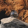 925 Sterling Silver Men's Ring with Labradorite Stone