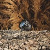 925 Sterling Silver Men's Ring with Labradorite Stone