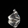 Double Headed Eagle 925 Sterling Silver Men's Ring